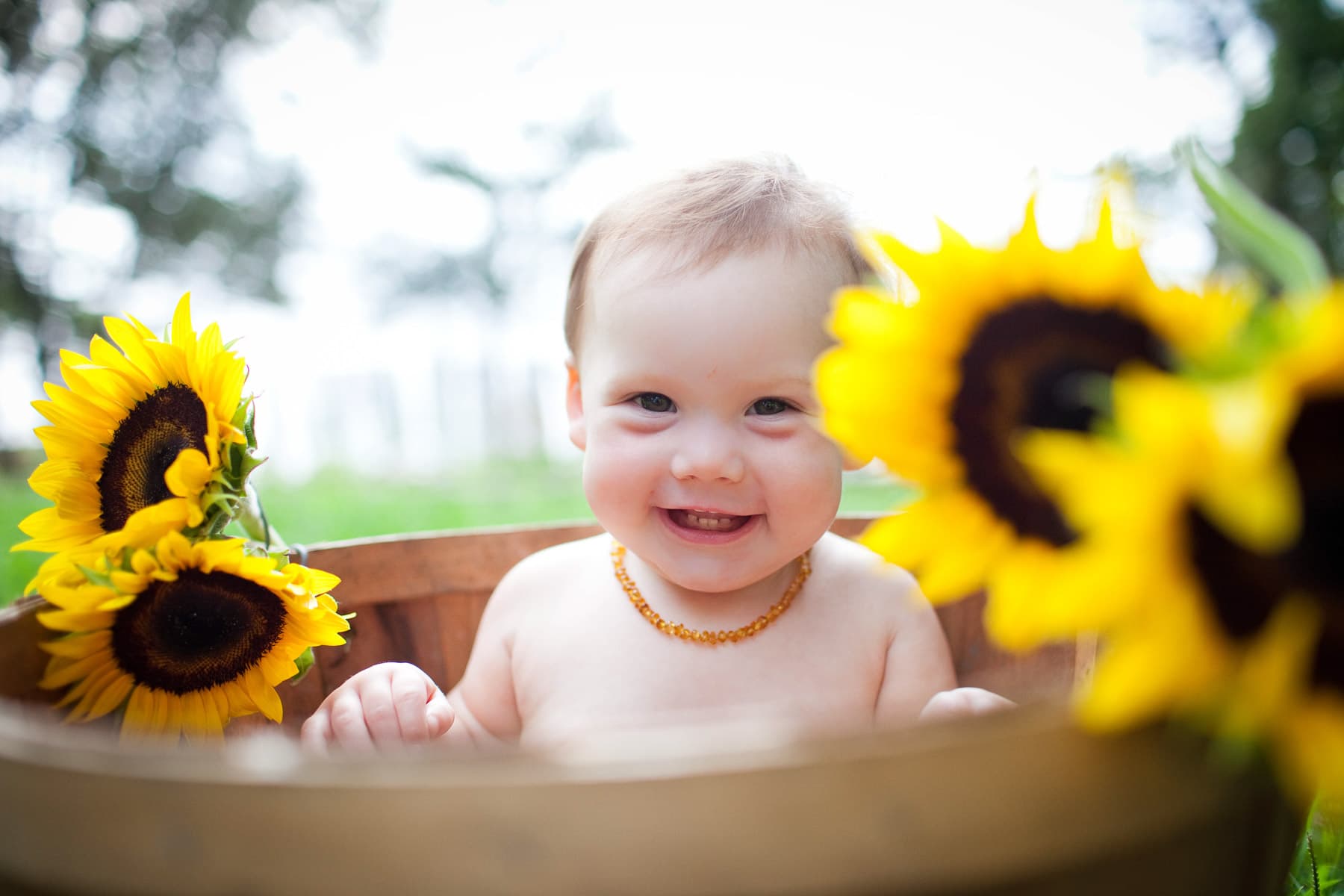 A smiling baby among sunflowers